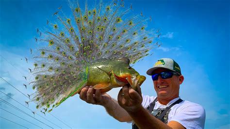 The Thrill of Catching a Big Fish: Tales from Anglers